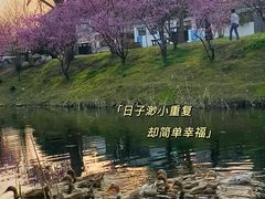 -石塘人家