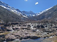 -黄龙山原始森林景区