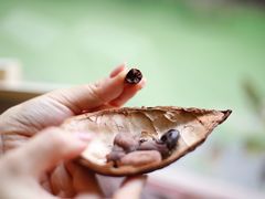 -SANYAY叁言咖啡巧克力