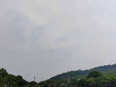 -中华孝德园