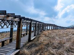 -白草畔自然风景区