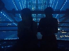 南昌之星摩天轮-南昌之星摩天轮