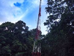 -武吉知马自然保护区