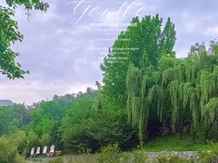 -盛世牡丹苑生态文化旅游区