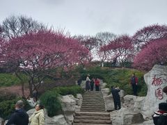 -重庆彩云湖湿地公园