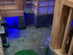 -九田家黑牛烤肉料理(郫都万达檬柏西路店)