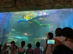 -嘉兴海底世界