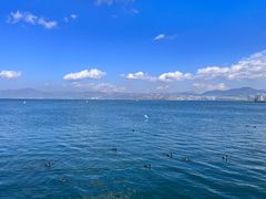 -大理洱海