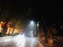 -光明刘冰乳鸽店(光明法政北路店)