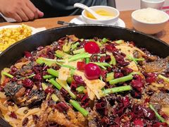 -老板恋上鱼(恒隆广场店)