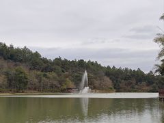 -广州白江湖森林公园