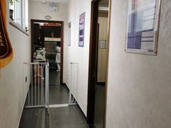 -宠爱国际动物医院·疑难骨科·心肾内科·皮肤科(太阳宫店)