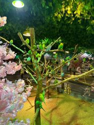 -酷嗒动物文化乐园(cutezoo西溪乐天城店)