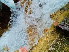 -广州白江湖森林公园