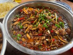 -食神又名厕所兔