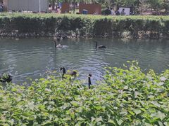 -长白岛森林公园