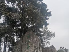 -梧桐山风景名胜区