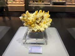 -湖南省地质博物馆