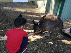 -费瑟代尔野生动物园