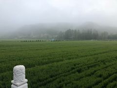 -南泥湾风景区