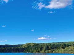 -五营红松林海景区