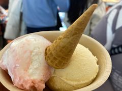 -极拉图·现制冰淇淋(大卫城店)