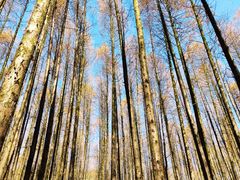 -山王坪喀斯特国家生态公园