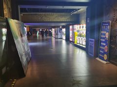 -新影联·华谊兄弟影院(望京店)
