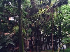 -福建师范大学(仓山校区)