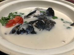 -农乐园食府(梅城镇店)