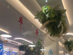 -Aqua Oasis 水天堂(太湖中心mall店)
