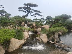 -罗红摄影艺术馆