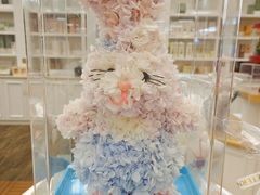 -荷兰花海