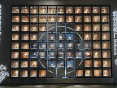 -中国湿地博物馆