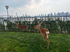 -唐山河头老街国丰维景度假大酒店