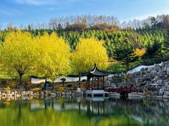 -威海华夏城景区