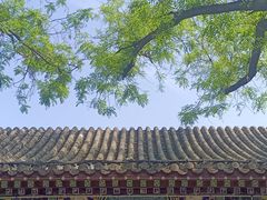 -荣国府