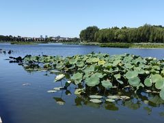 -素心小筑(后沙裕镇店)