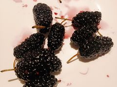 -鼎香缘海鲜自助火锅烤肉(锦辉购物广场店)