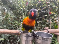 -南宫五洲植物乐园