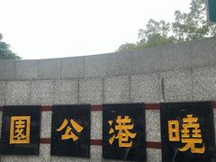 -晓港公园