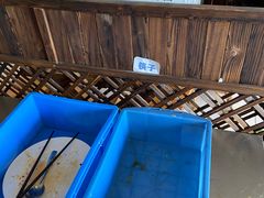 -简心素爱素食自助餐厅