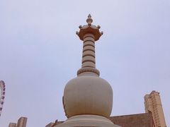 -天津大悲禅院