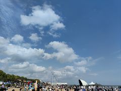 -碧海金沙
