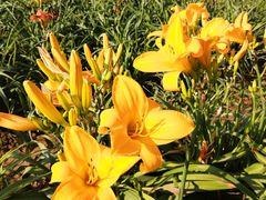 -汉长安城未央宫国家考古遗址公园