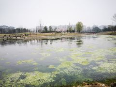 -两河城市森林公园