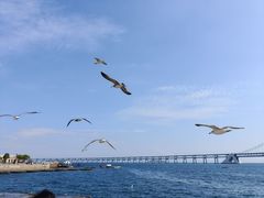 -星海湾跨海大桥