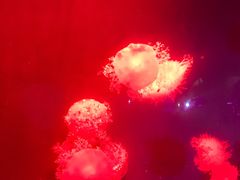 -福州罗源湾海洋世界旅游区