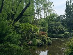 -秋霞圃