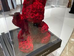 -ROSEONLY诺誓(广州K11店)